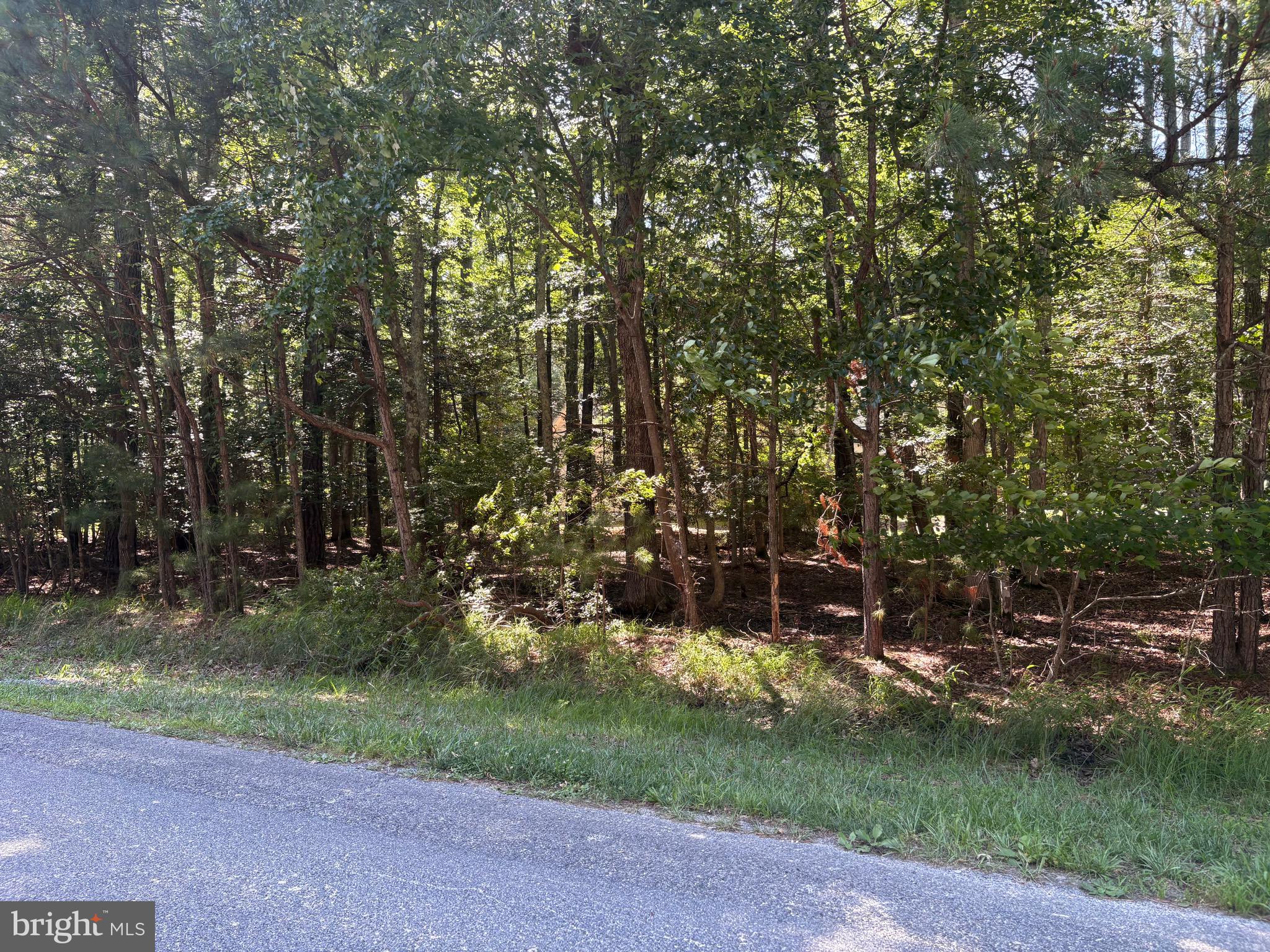 OCEAN PINES - WHITETAIL SANCTUARY - Land