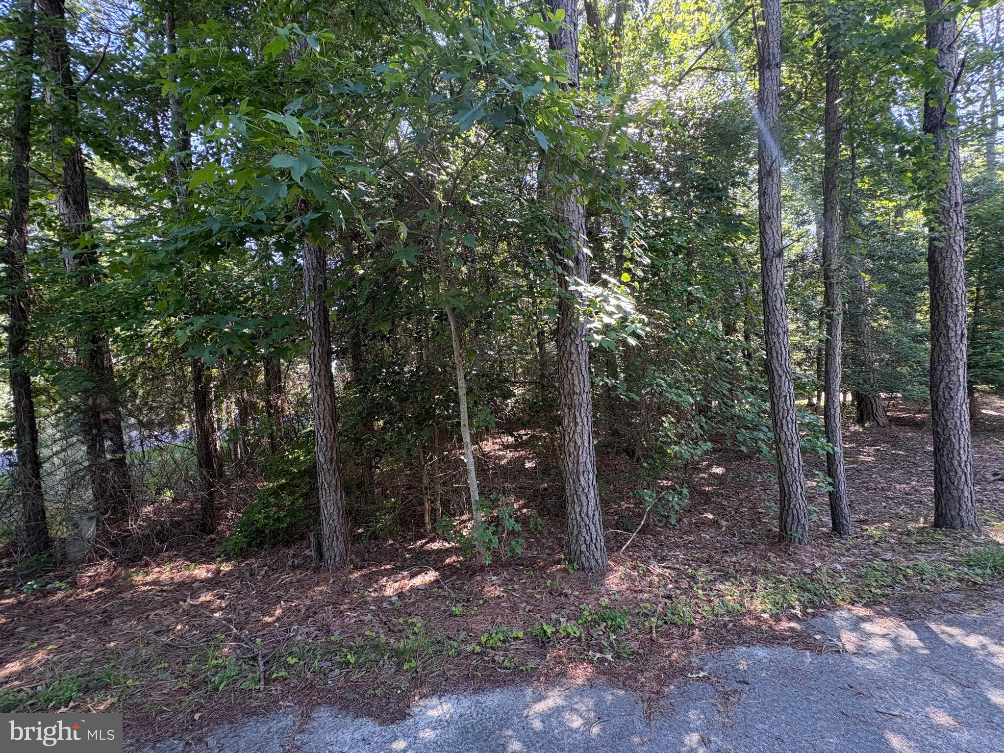 OCEAN PINES - WHITETAIL SANCTUARY - Land