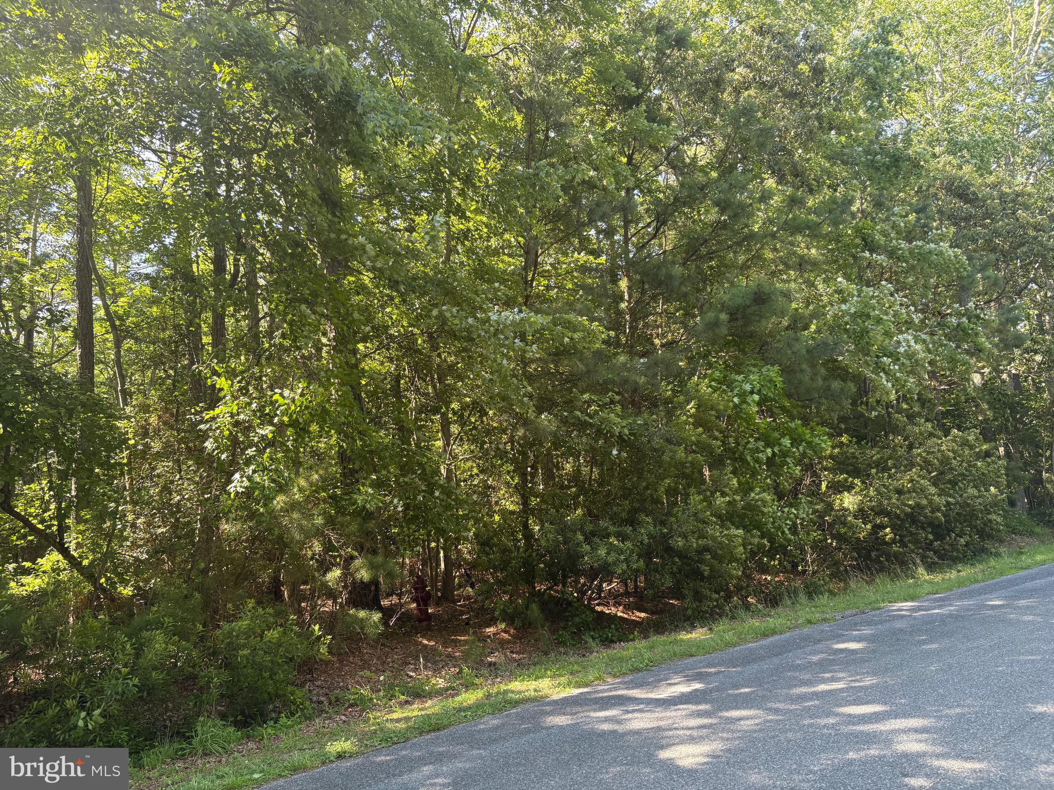 OCEAN PINES - WHITETAIL SANCTUARY - Land