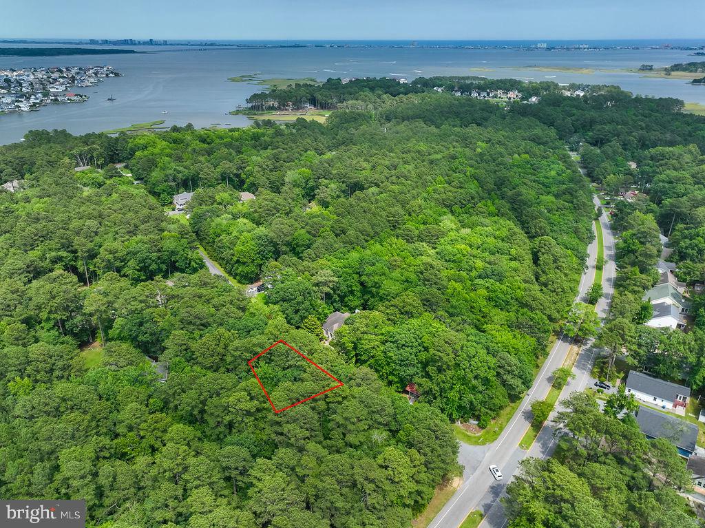OCEAN PINES - WHITETAIL SANCTUARY - Land