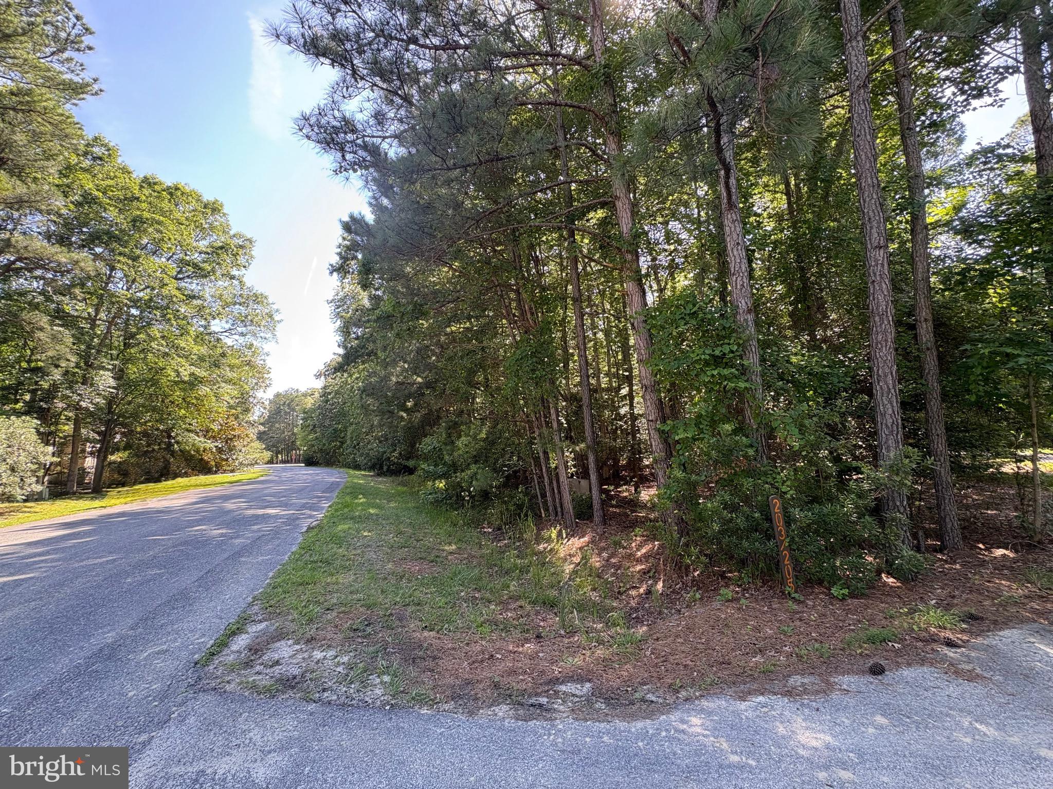 OCEAN PINES - WHITETAIL SANCTUARY - Land