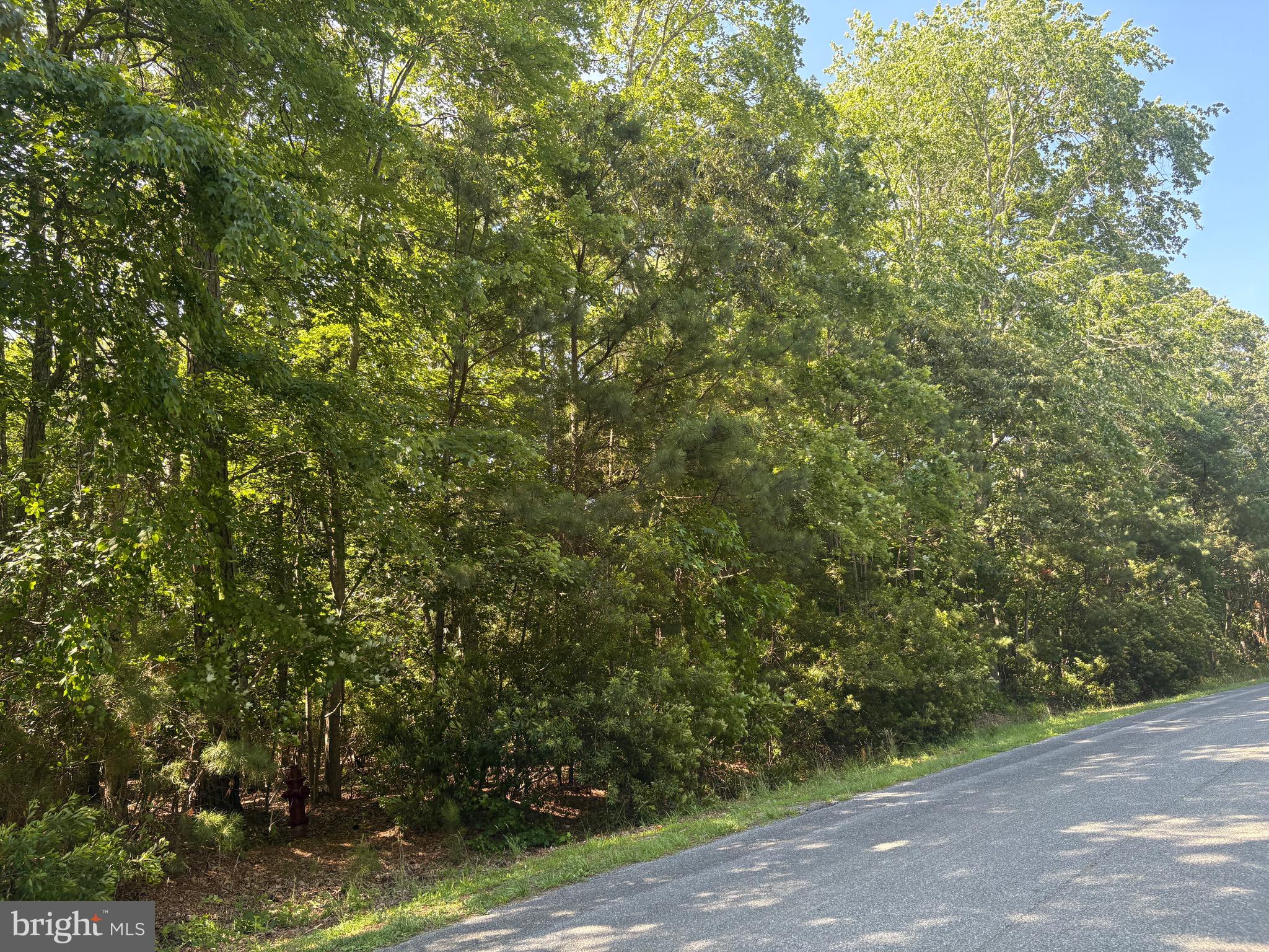 OCEAN PINES - WHITETAIL SANCTUARY - Land