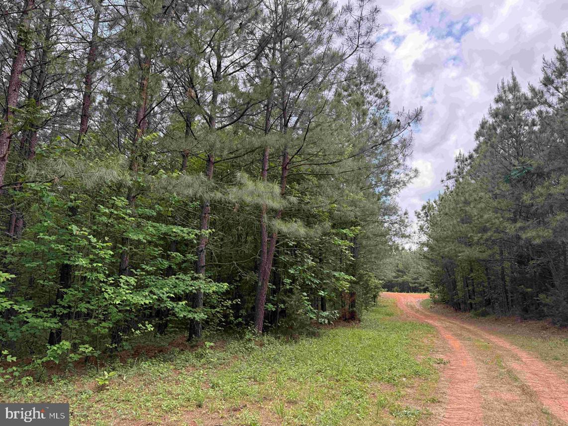 BELL ROAD (TRACT: MOORE NORTH)