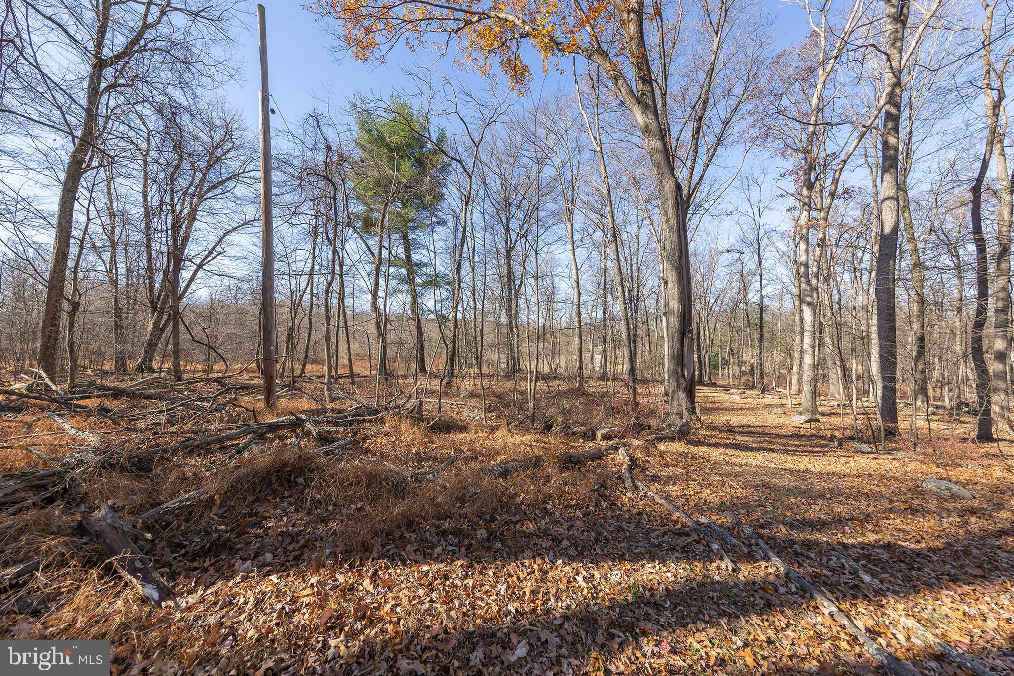 BUFFALO RIDGE RANCHETTES - Residential