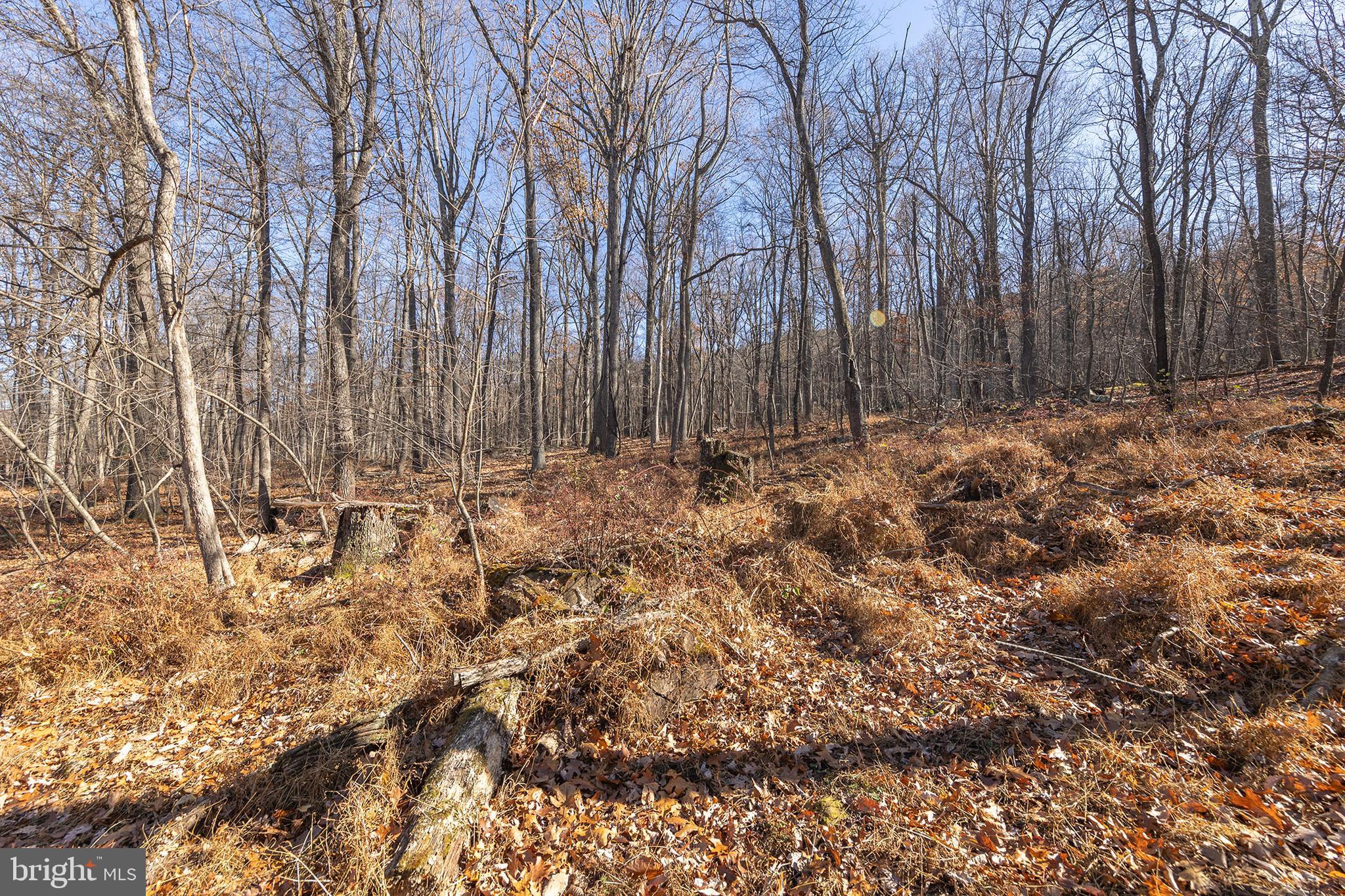 BUFFALO RIDGE RANCHETTES - Residential