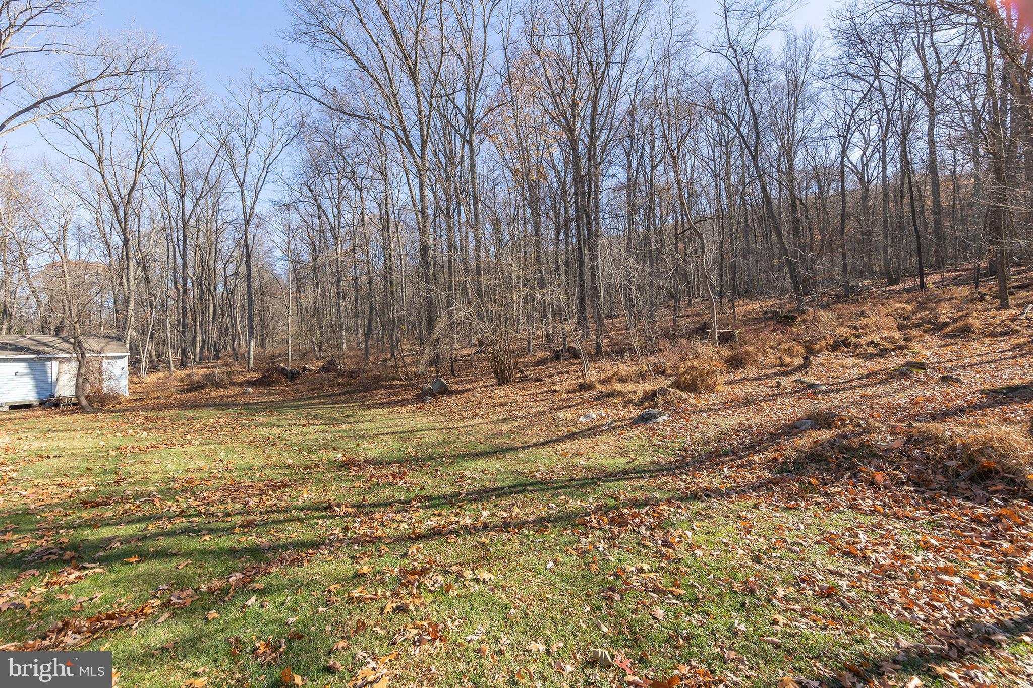 BUFFALO RIDGE RANCHETTES - Residential