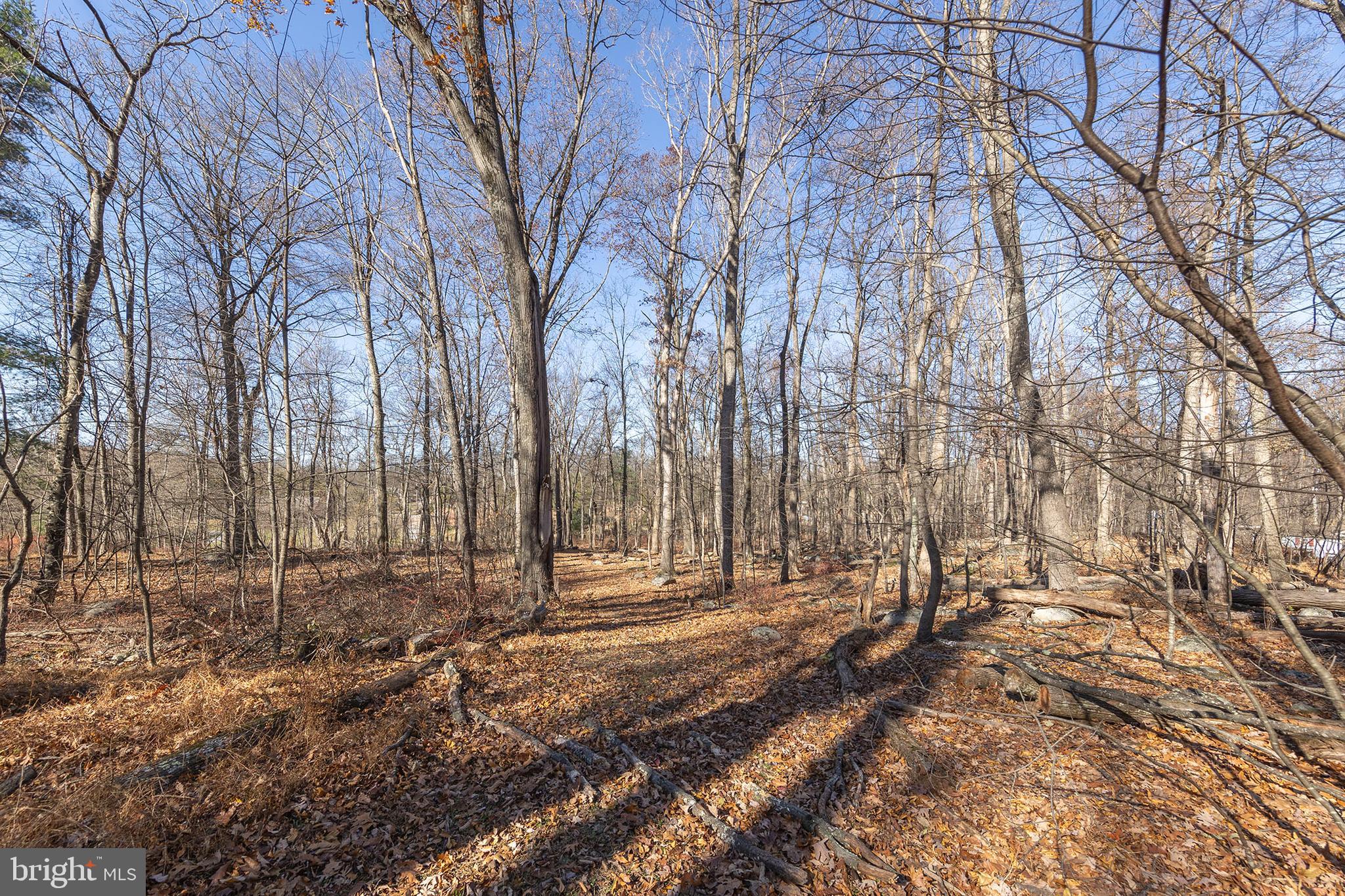 BUFFALO RIDGE RANCHETTES - Residential