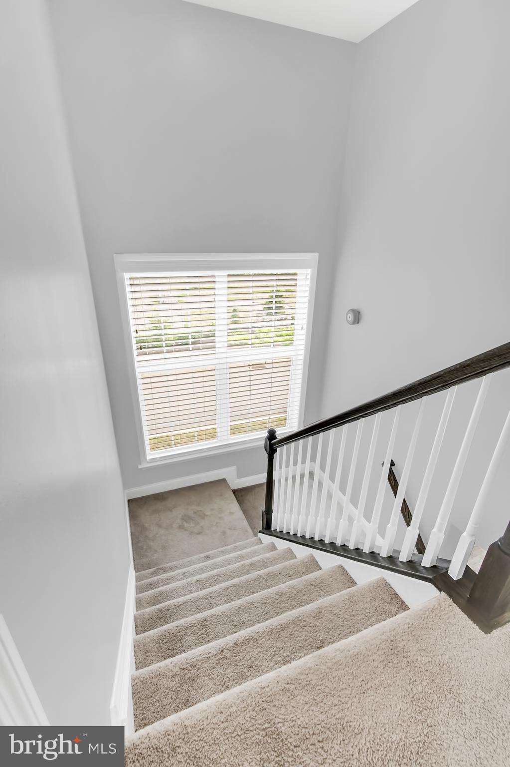 BELMONT - Residential Lease