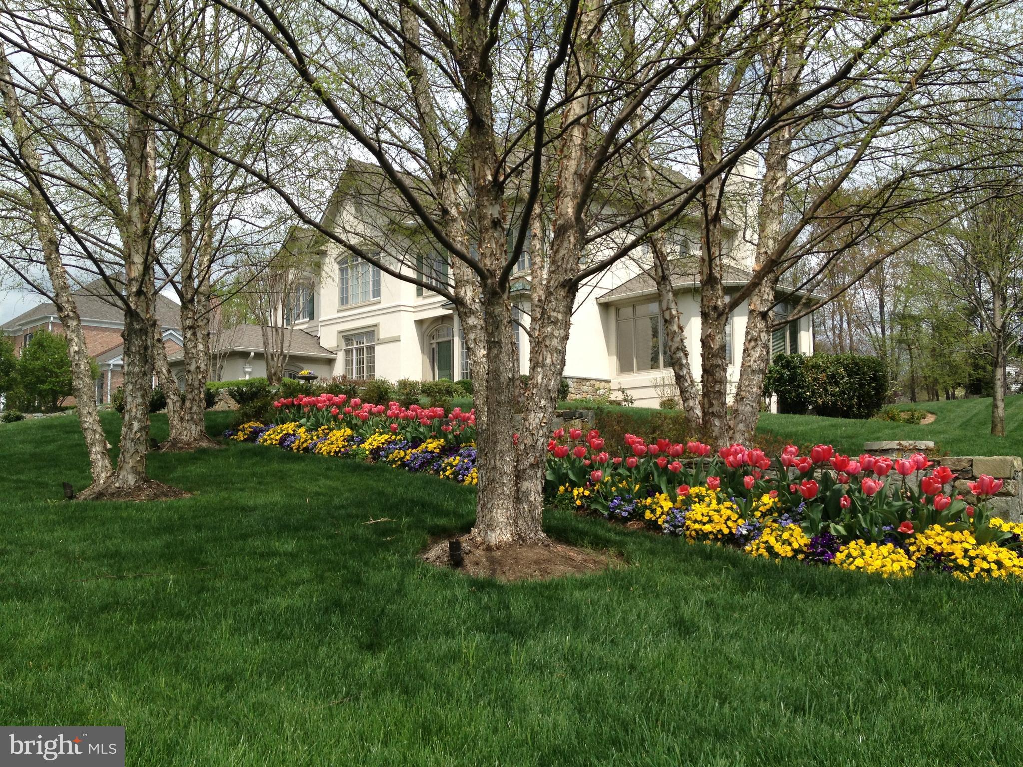 TIMBERLAKE ESTATES - Residential