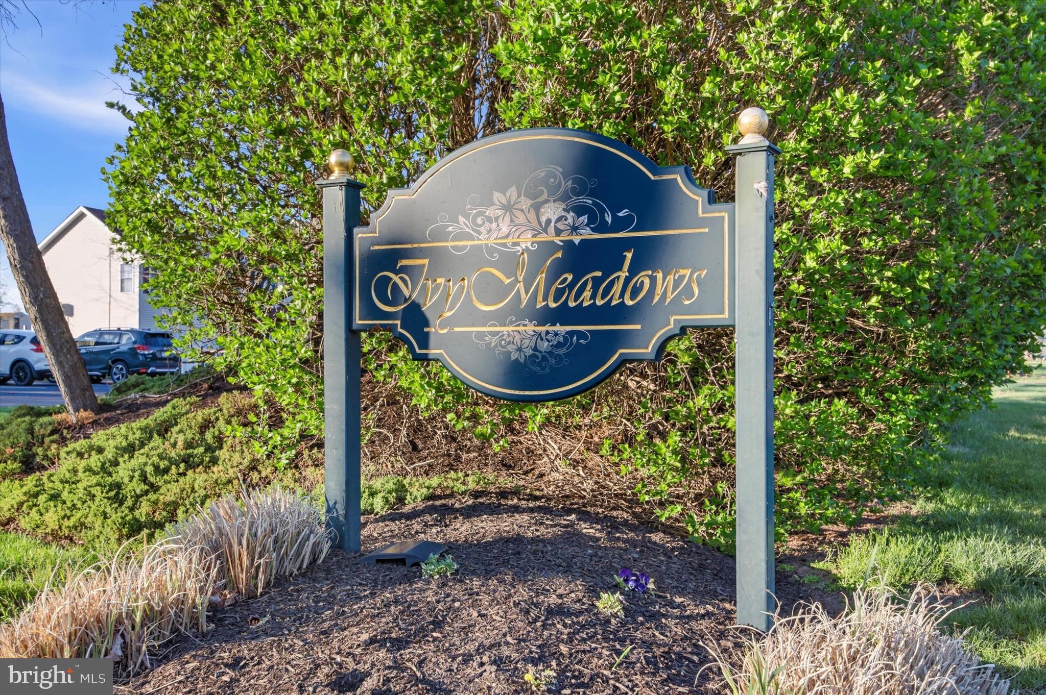 IVY MEADOWS - Residential