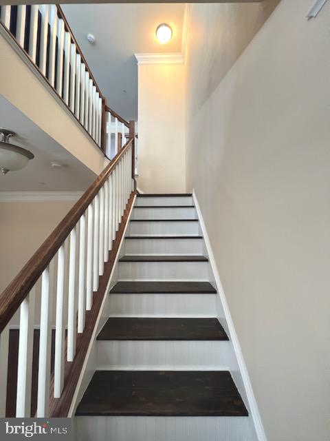 THE VILLAGES OF STEEPLEC - Residential