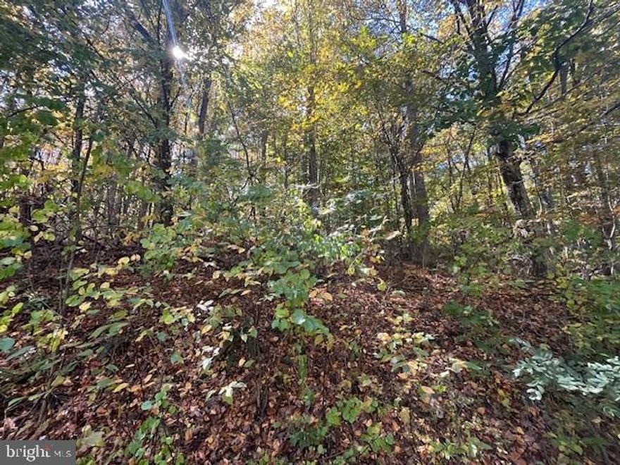 Wooded Lots in Skyline Lakes!  1.36 wooded acres that provide a wonderful get away feel. Skyline Lakes subdivision is a short term rental friendly community! Private, secluded feel near Shenandoah National Park. Luray Caverns and all Page County has to offer!

OWNER FINANCING OFFERED!!
10% down 6% interest 2-3 year term