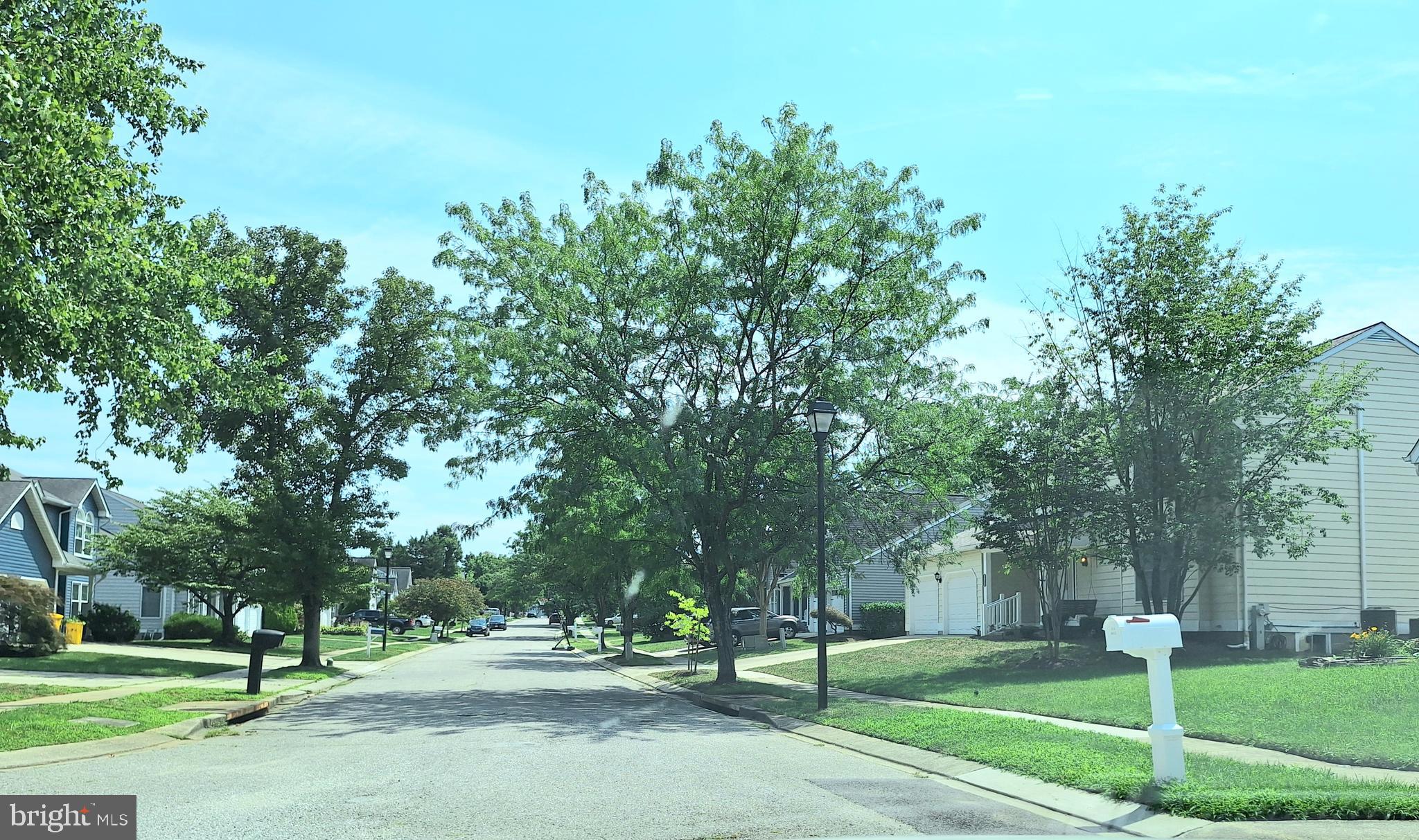 ORCHARDS OF LINTHICUM - Residential