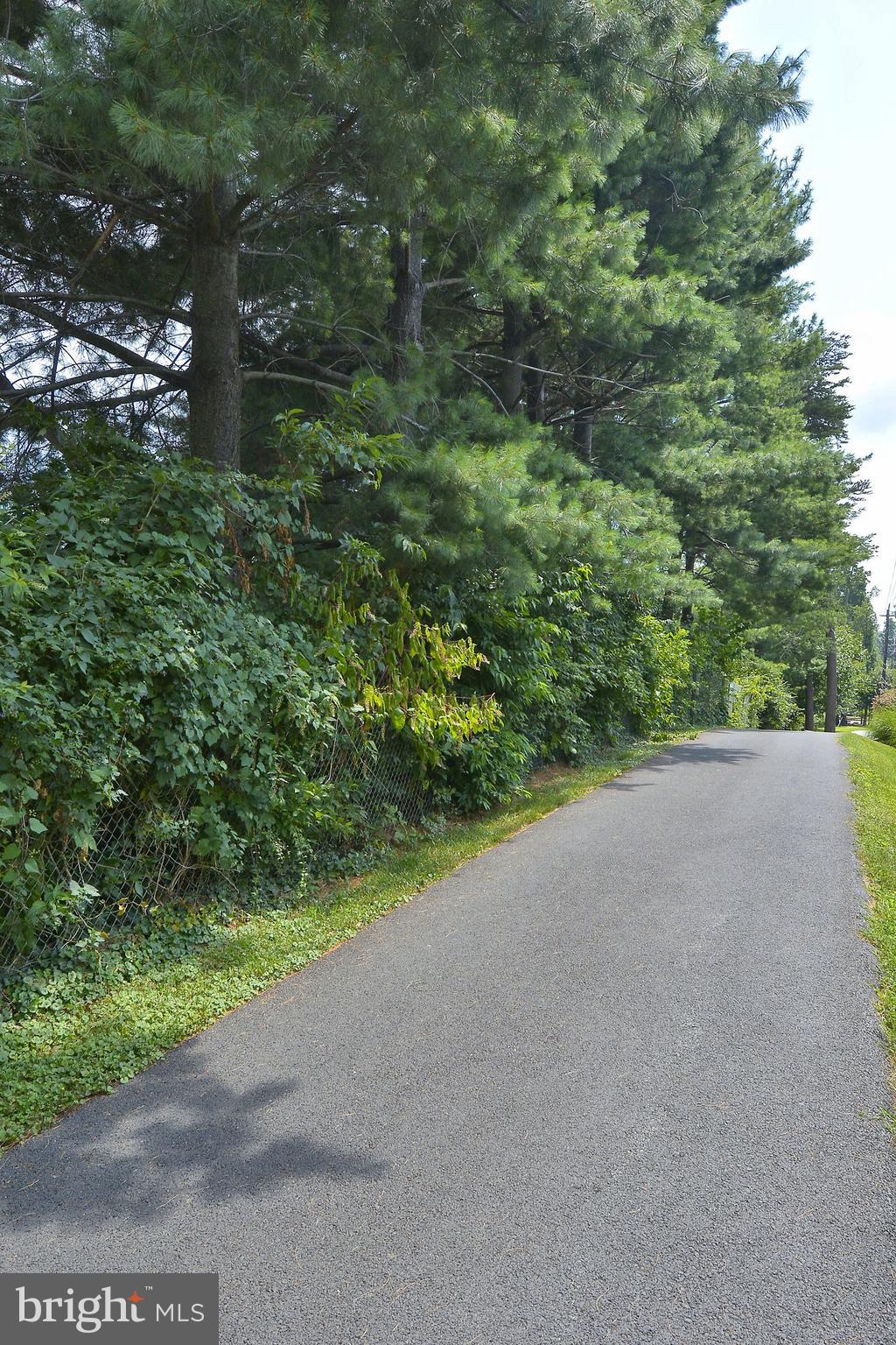 TUCKERMAN STATION CODM - Residential