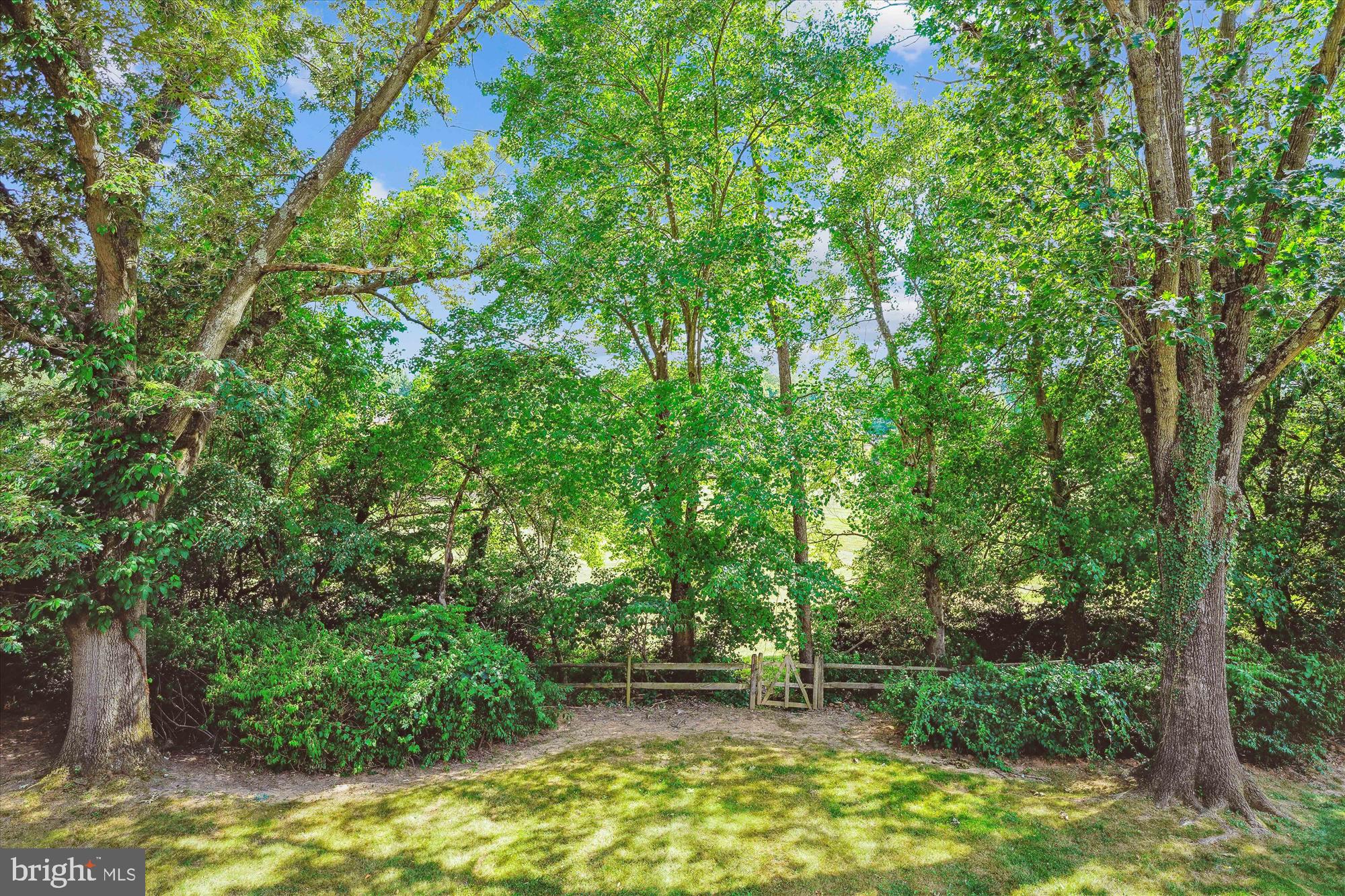 POTOMAC COMMONS - Residential