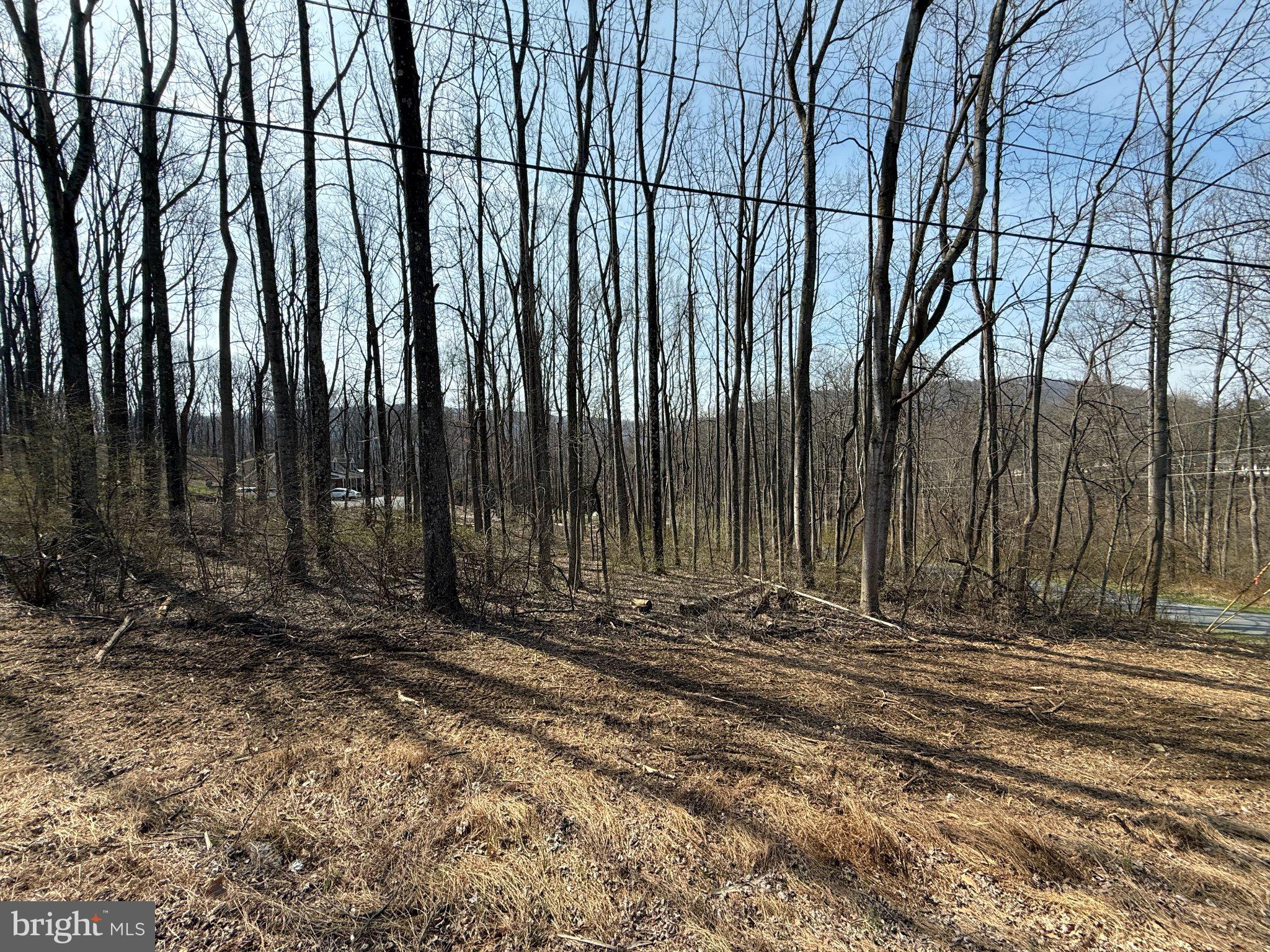 CARROLL VALLEY - Land