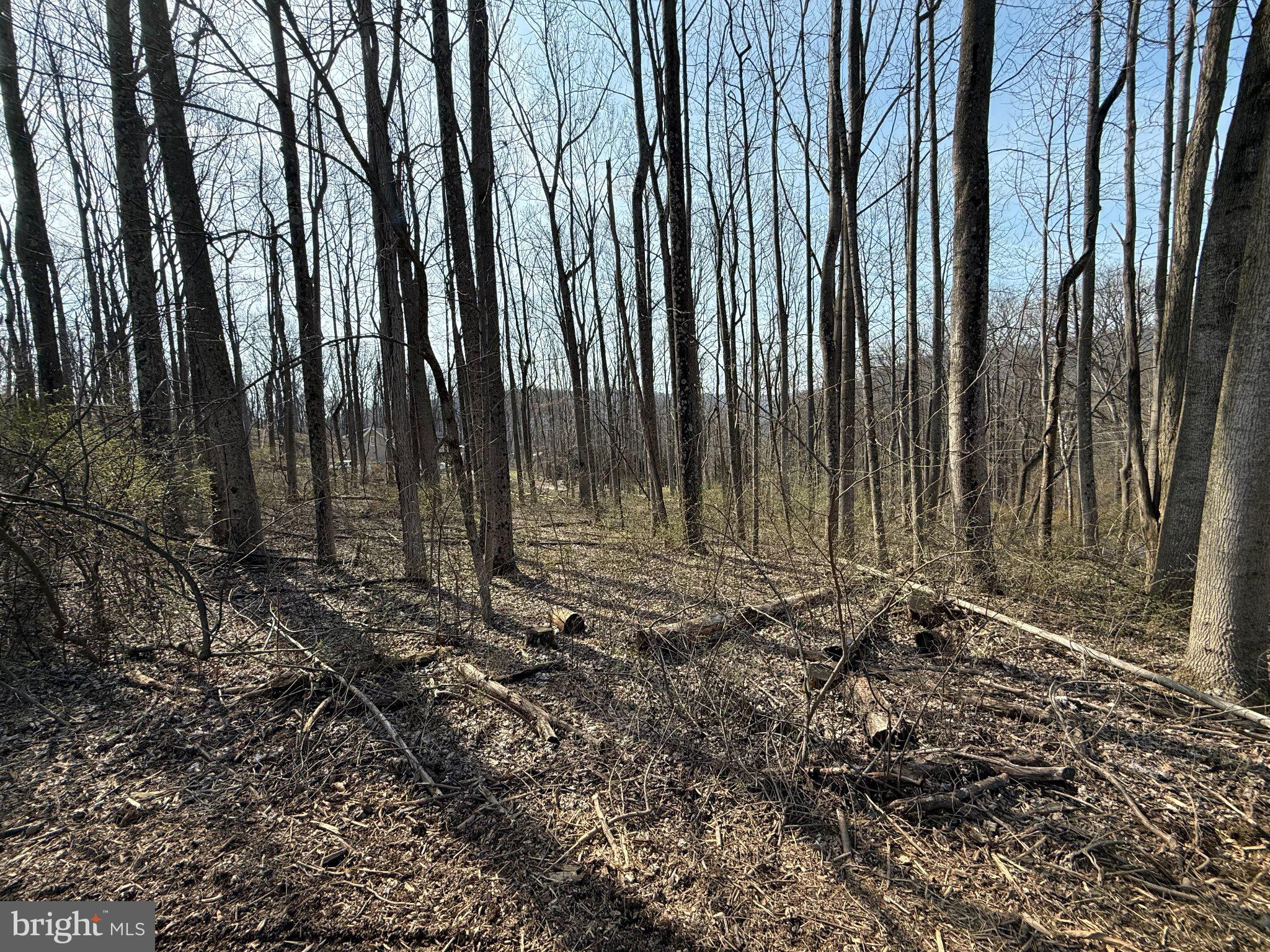 CARROLL VALLEY - Land