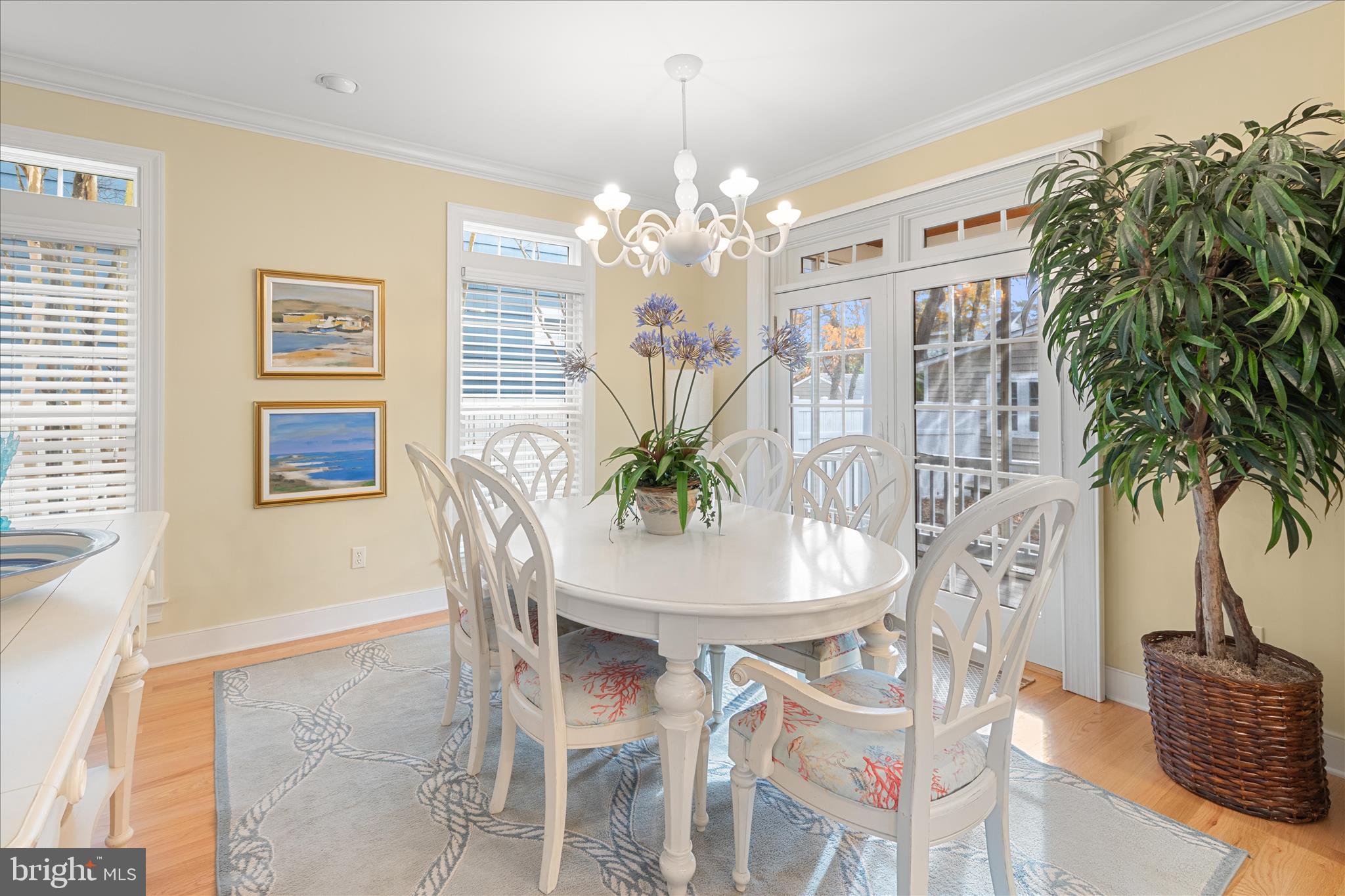 SOUTH REHOBOTH - Residential