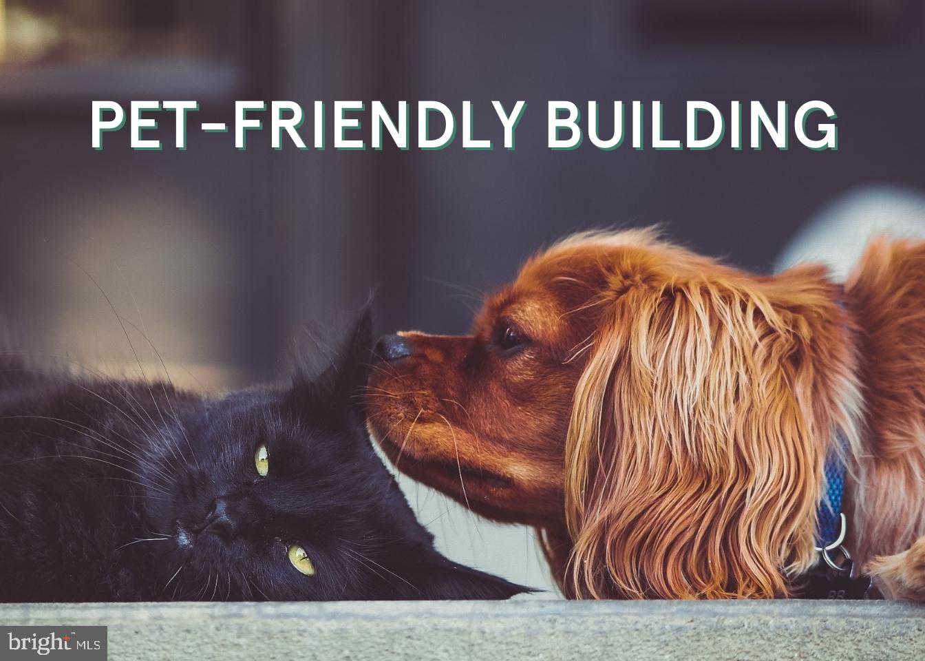 WATERGATE OF ALEXANDRIA - Residential