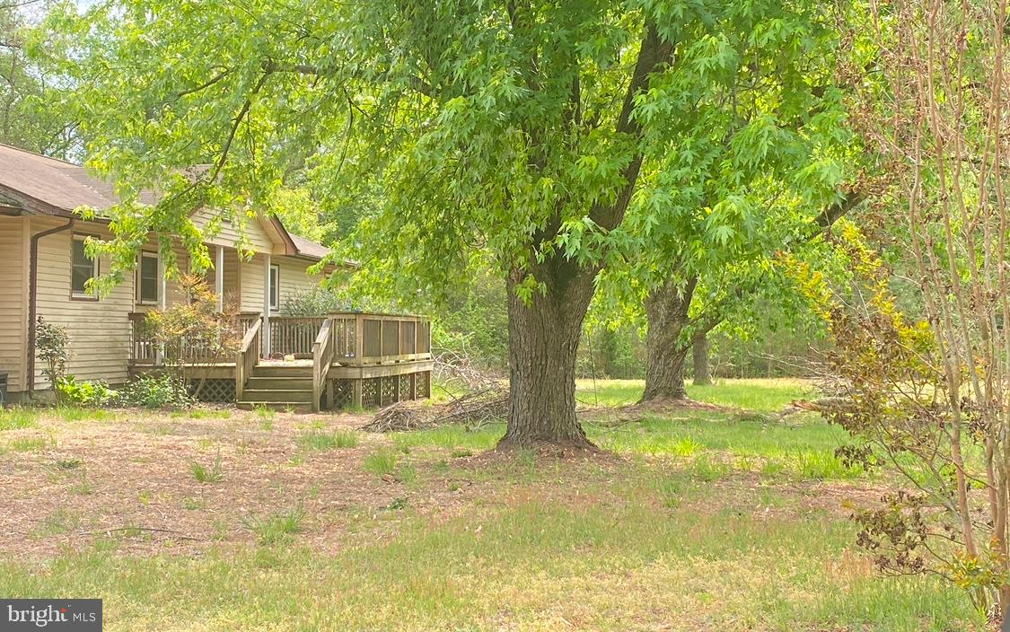 11071 SHARPTOWN ROAD