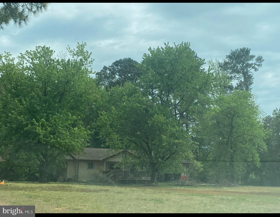 11071 SHARPTOWN ROAD