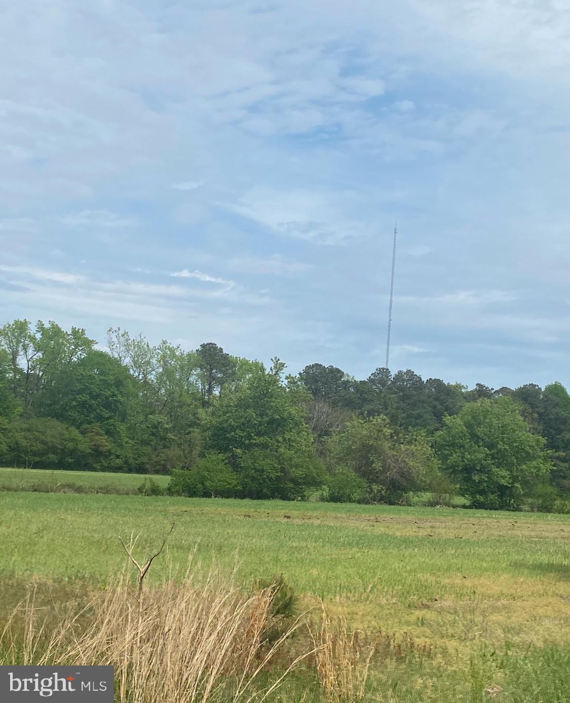 11071 SHARPTOWN ROAD