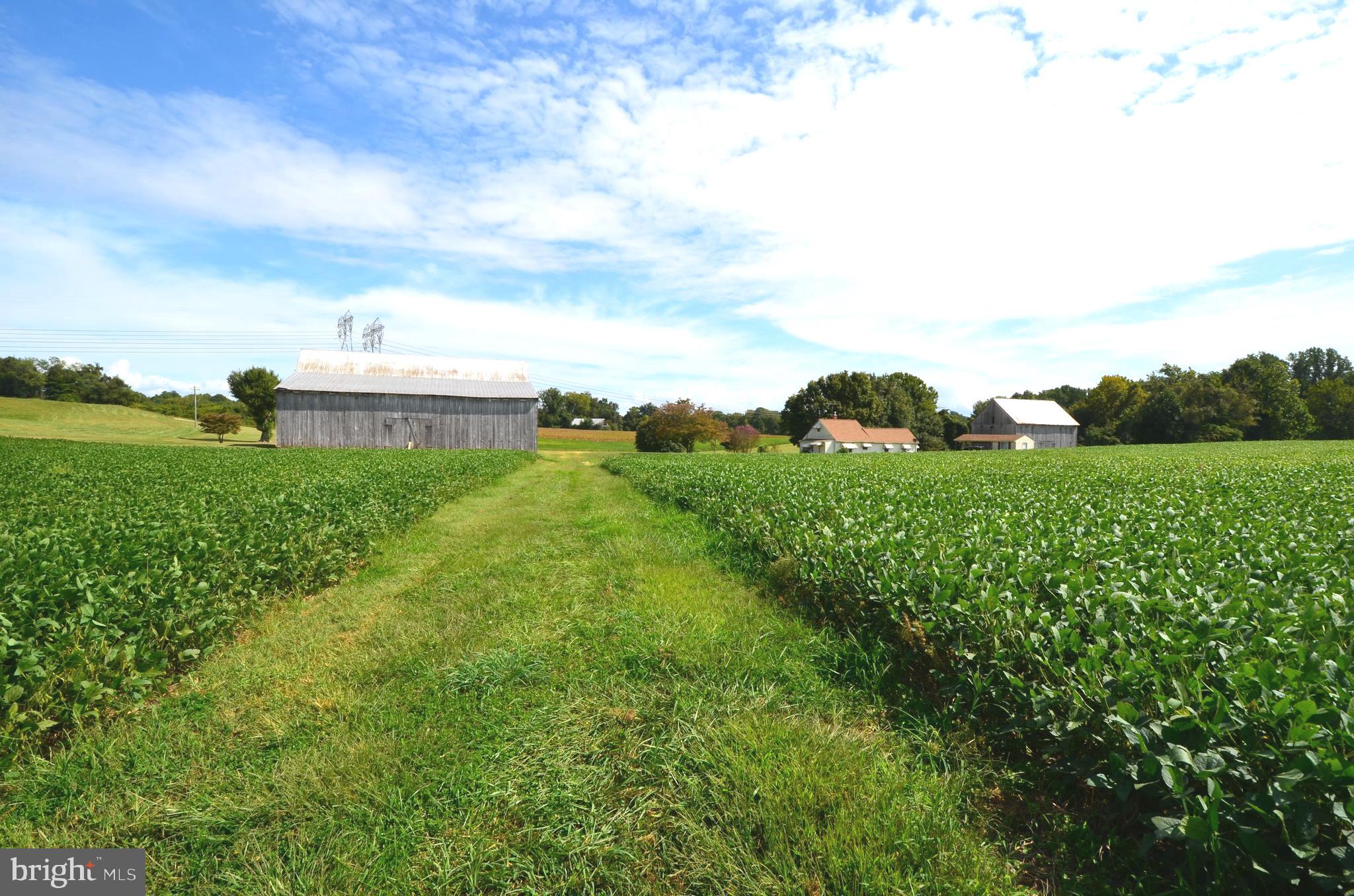 NONE AVAILABLE - Farm