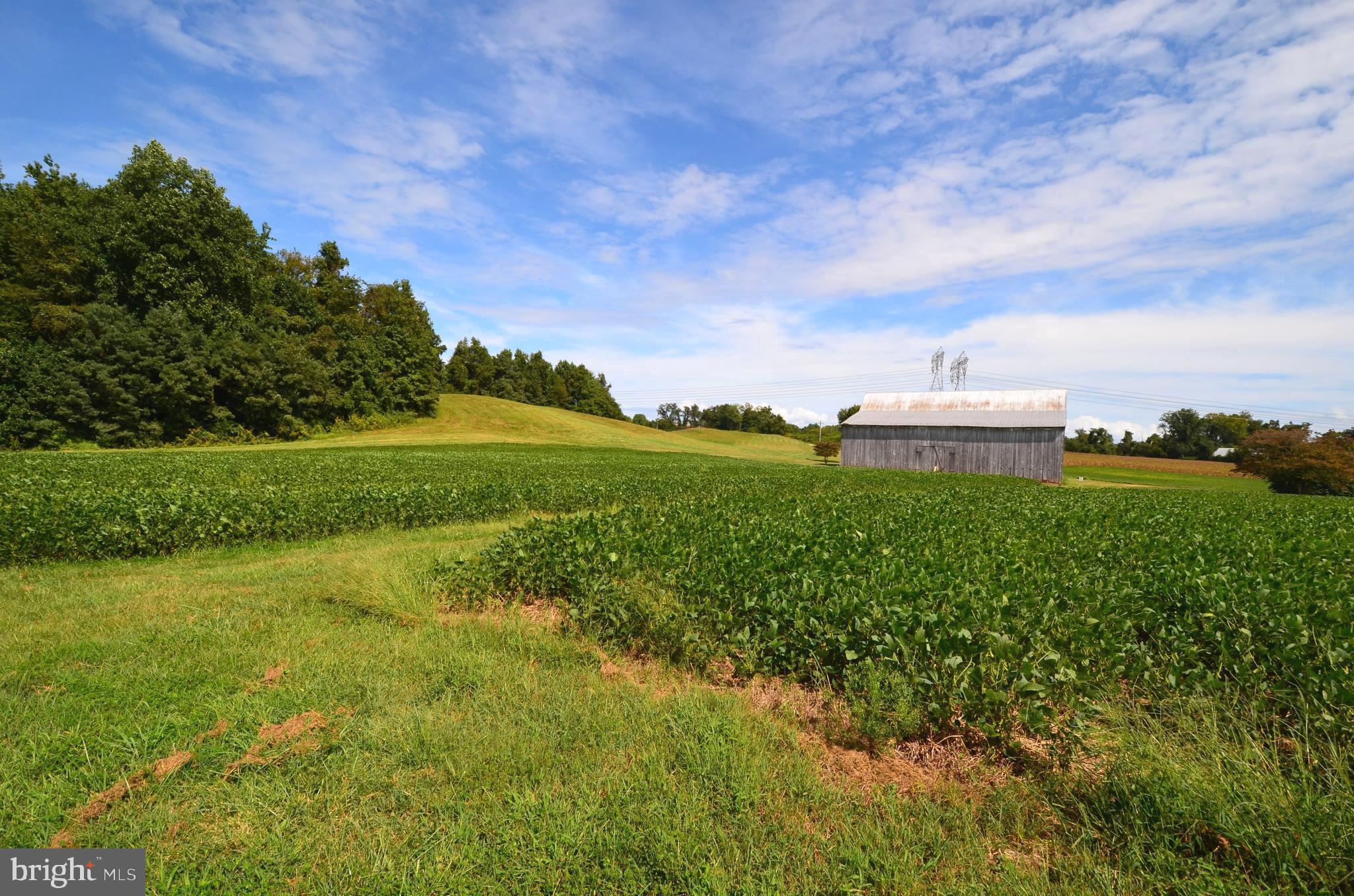 NONE AVAILABLE - Farm