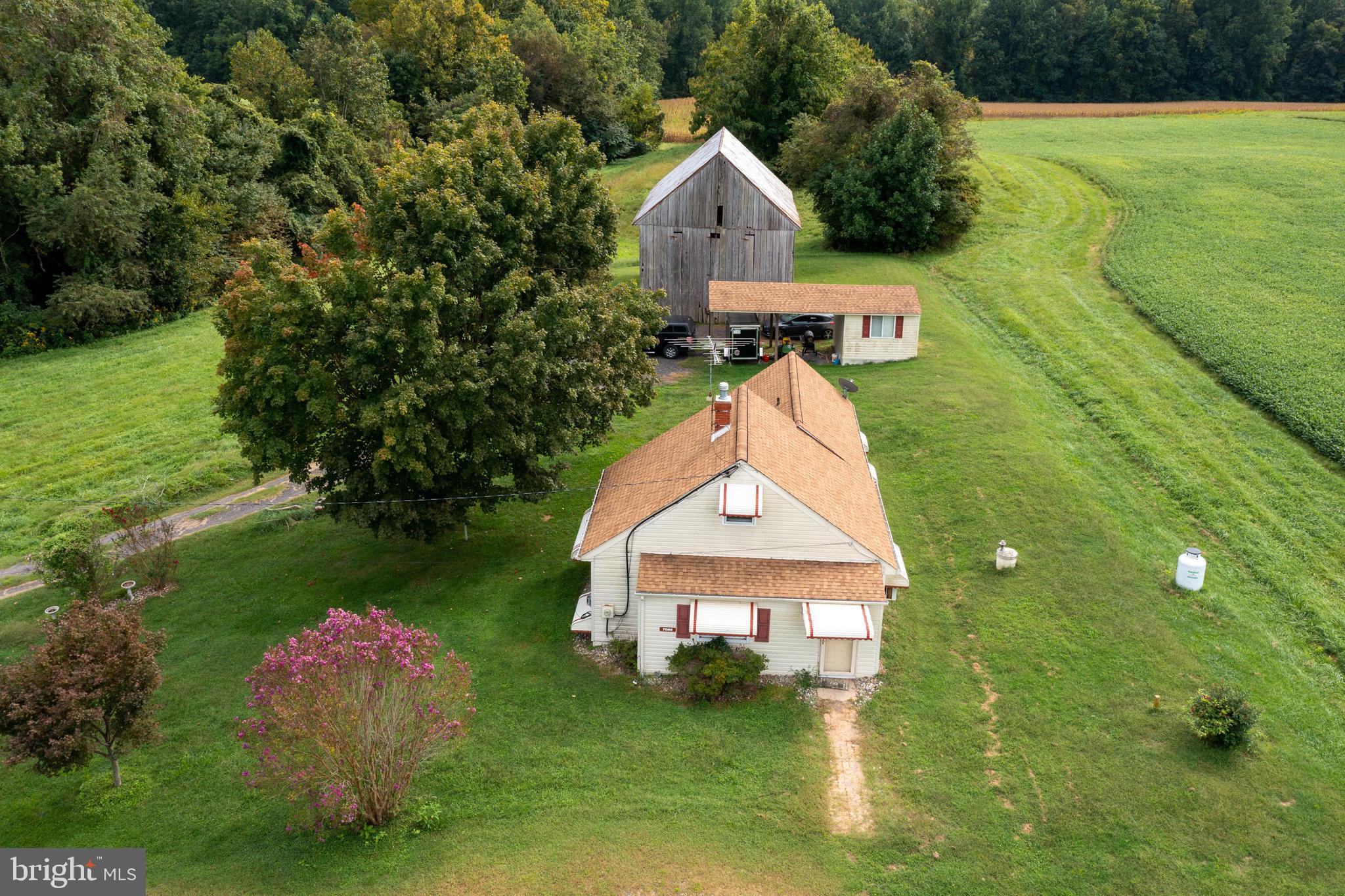 NONE AVAILABLE - Farm