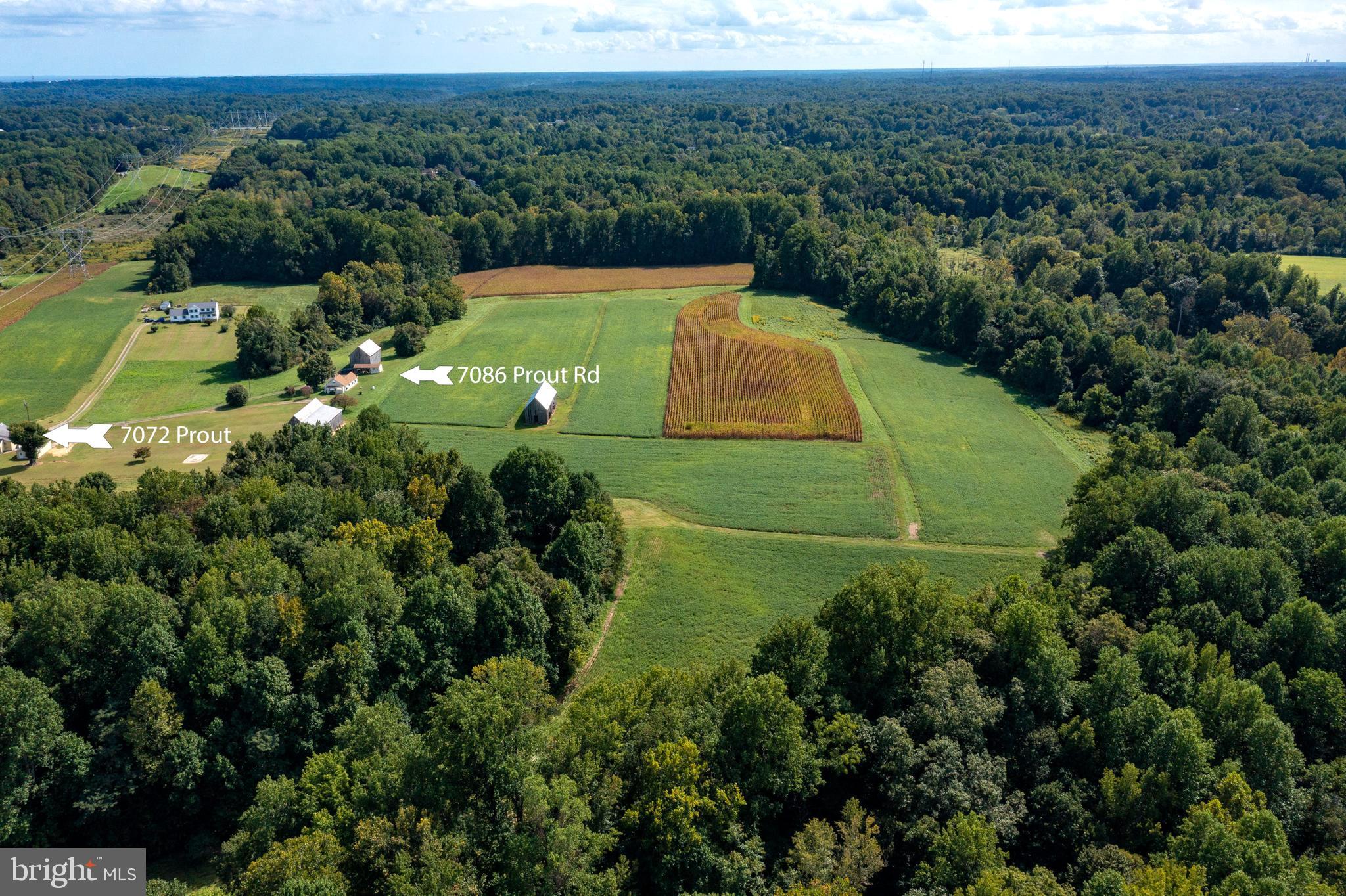 NONE AVAILABLE - Farm