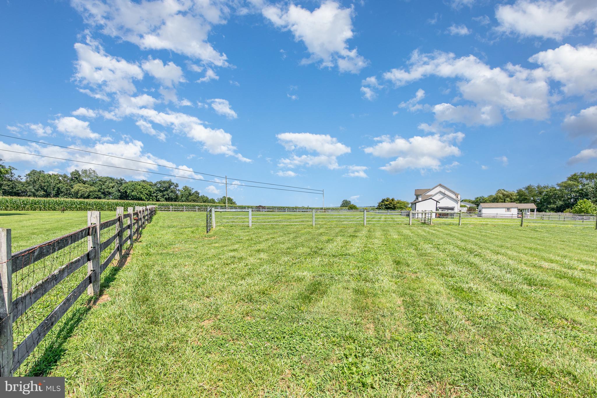 WELLINGBOROUGH ESTATES - Residential