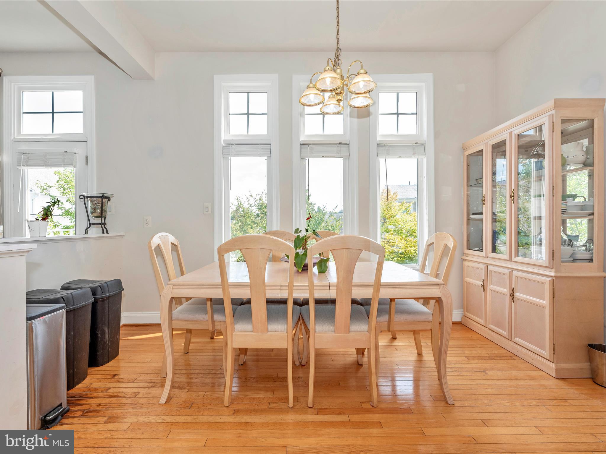 CLARKSBURG VILLAGE - Residential