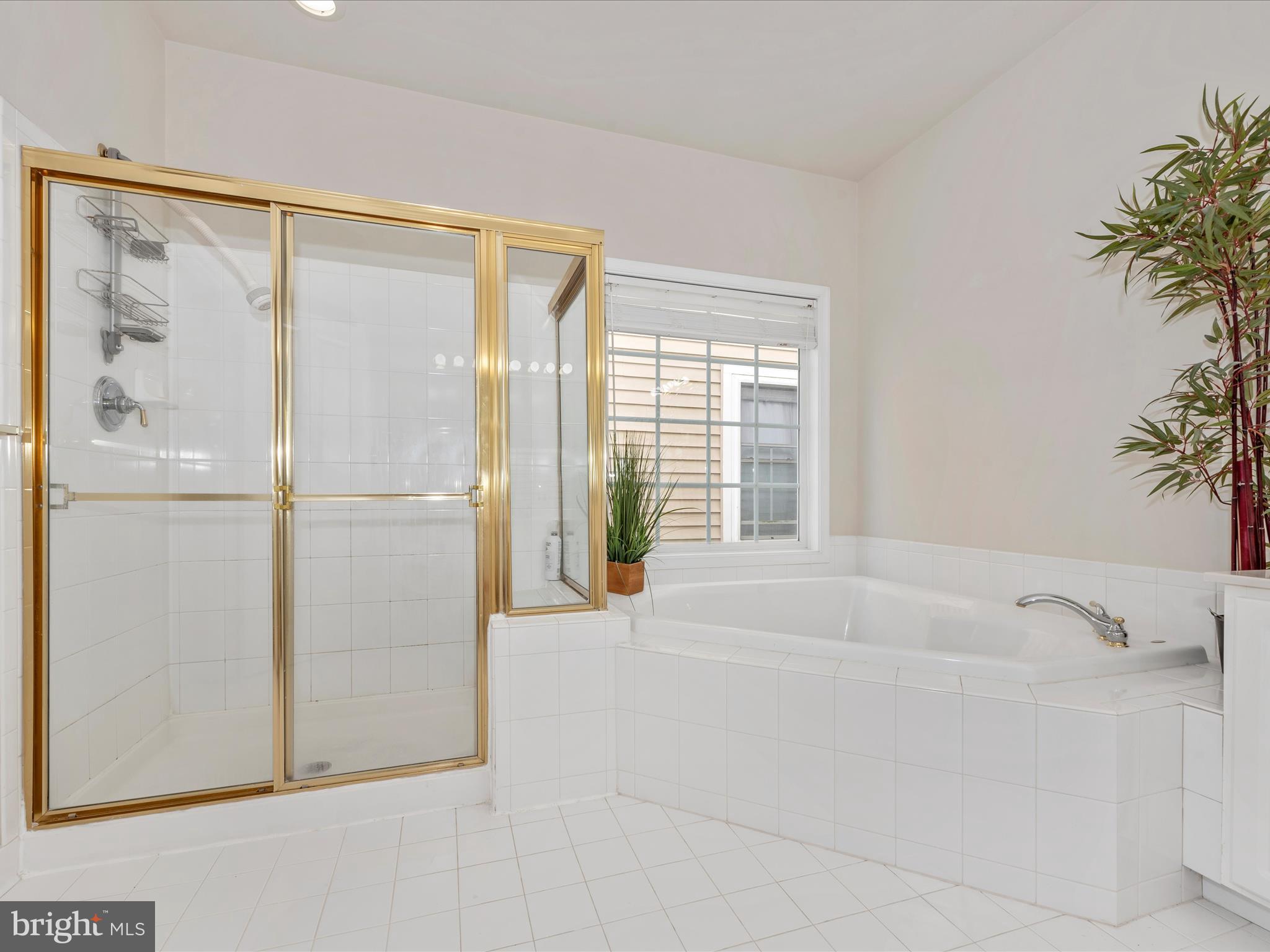 CLARKSBURG VILLAGE - Residential