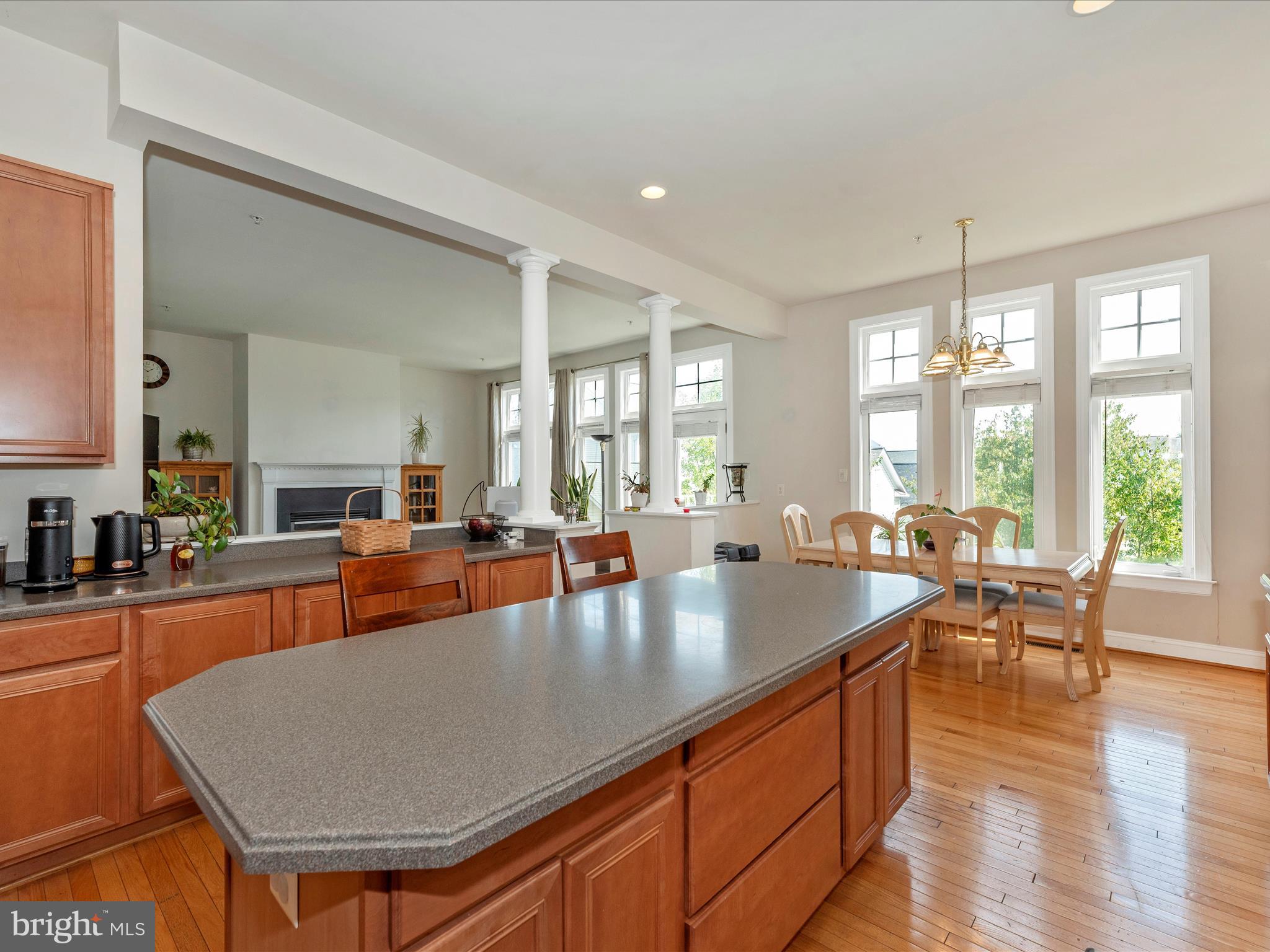 CLARKSBURG VILLAGE - Residential