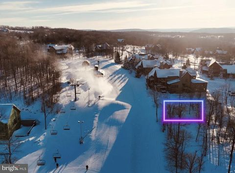 Vacant Land For Sale - LOTS 11/12 Ridge Run Road<br/> MC HENRY, MD 21541