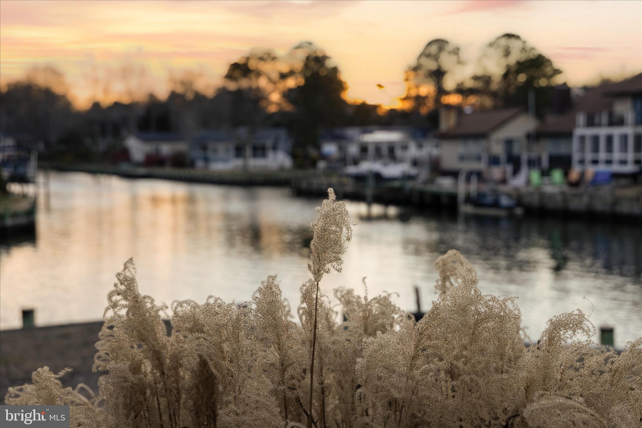 OCEAN PINES - NEWPORT - Residential