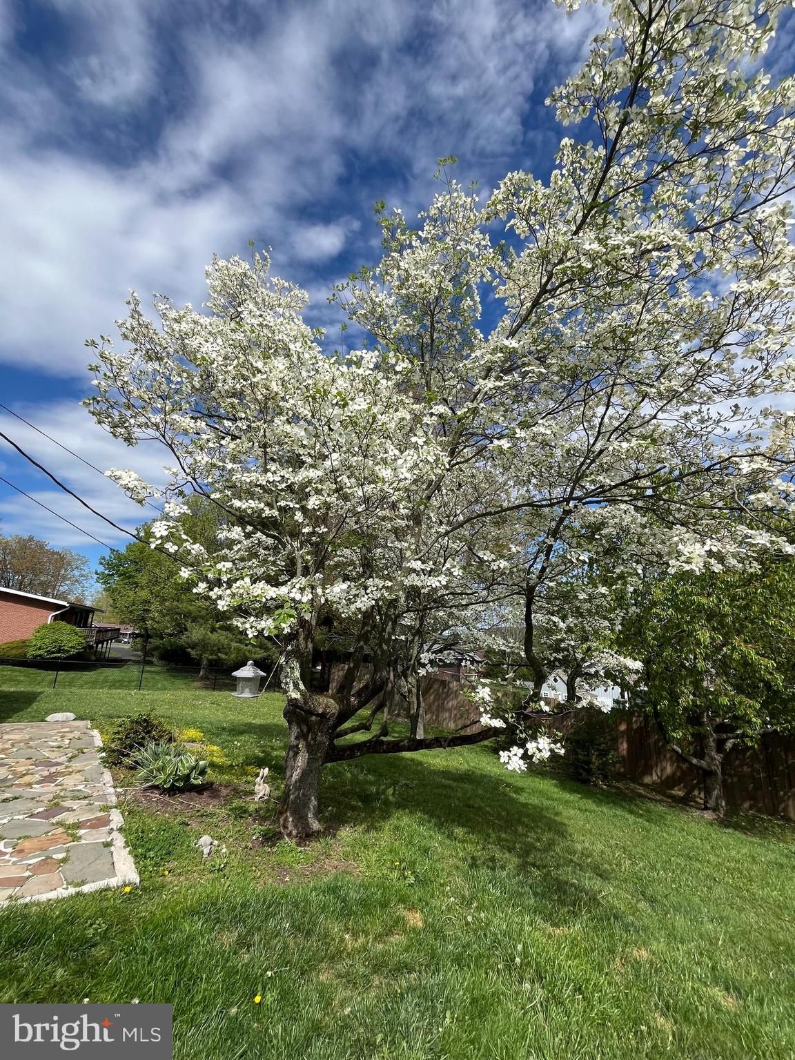 BRADDOCK ESTATES - Residential