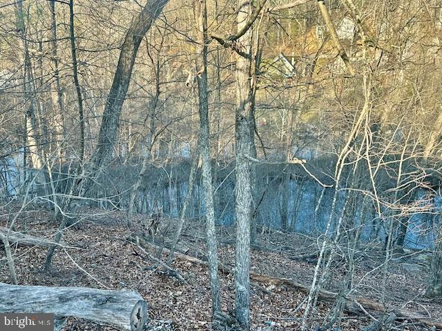 LAKE HOLIDAY ESTATES - Land