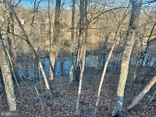 LAKE HOLIDAY ESTATES - Land