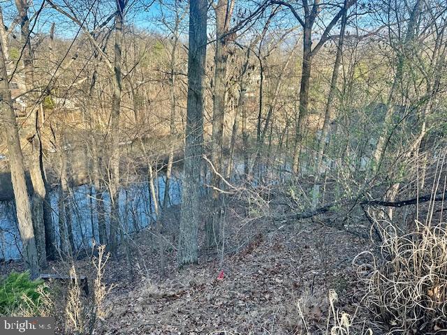 LAKE HOLIDAY ESTATES - Land