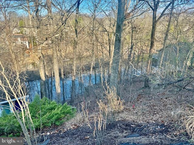 LAKE HOLIDAY ESTATES - Land