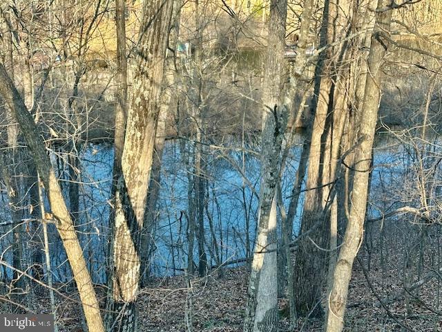 LAKE HOLIDAY ESTATES - Land