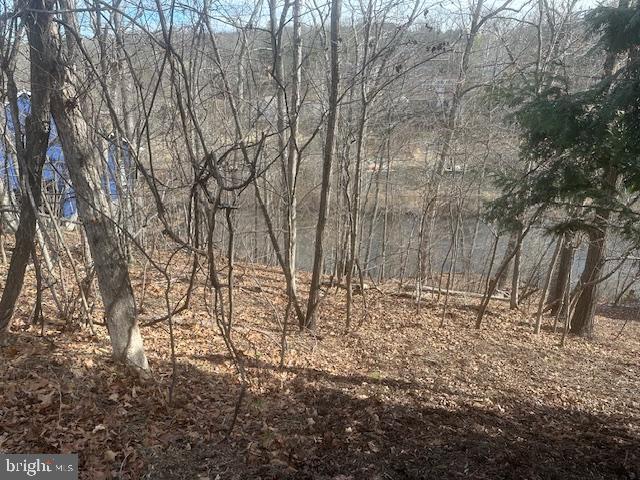 LAKE HOLIDAY ESTATES - Land