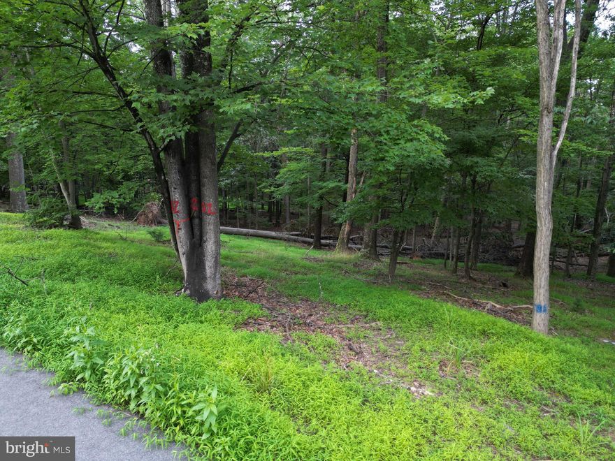 Build your dream home and enjoy a peaceful retreat in The Woods Subdivision. This lot is just under 1 acre and ready to be cleared for your forever home. Property has public water and sewer.