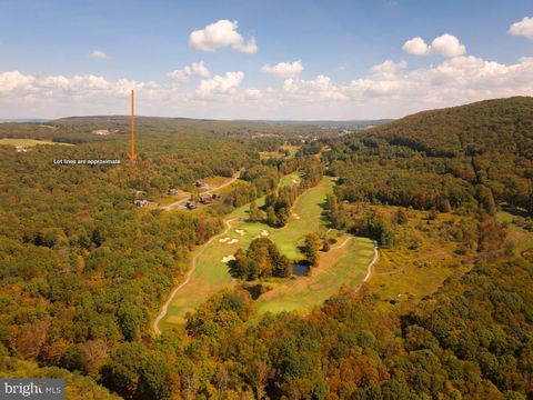 Vacant Land For Sale - 31 Hailees Lane<br/> MC HENRY, MD 21541