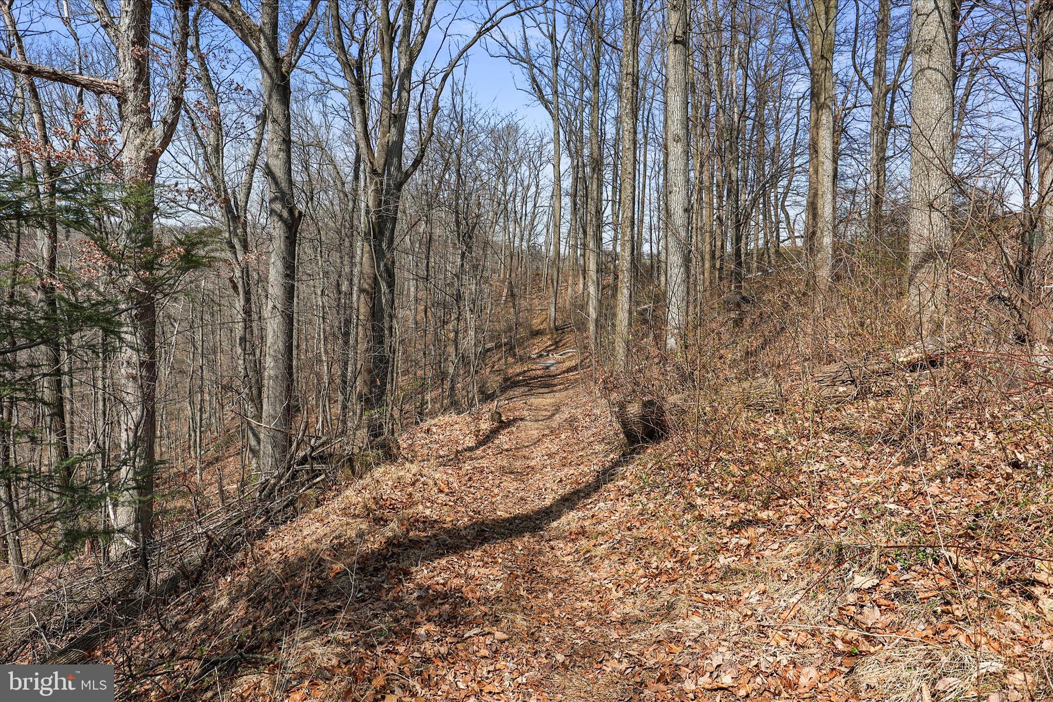 CHANCEFORD TWP - Residential