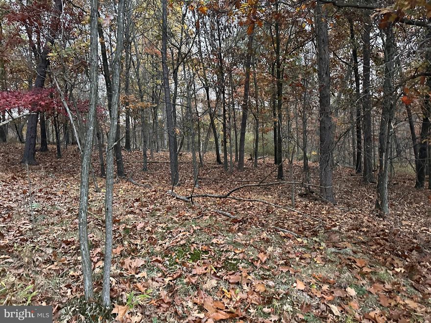 Nice building lot in Cacapon South.  Great location and close to Cacapon State Park. Community has a sewer system, paved roads, maintained ditches, underground utilities and much more.