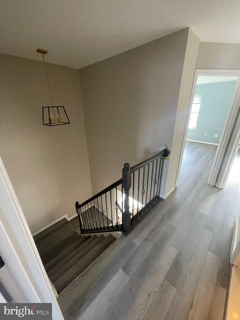 CENTREVILLE - Residential Lease