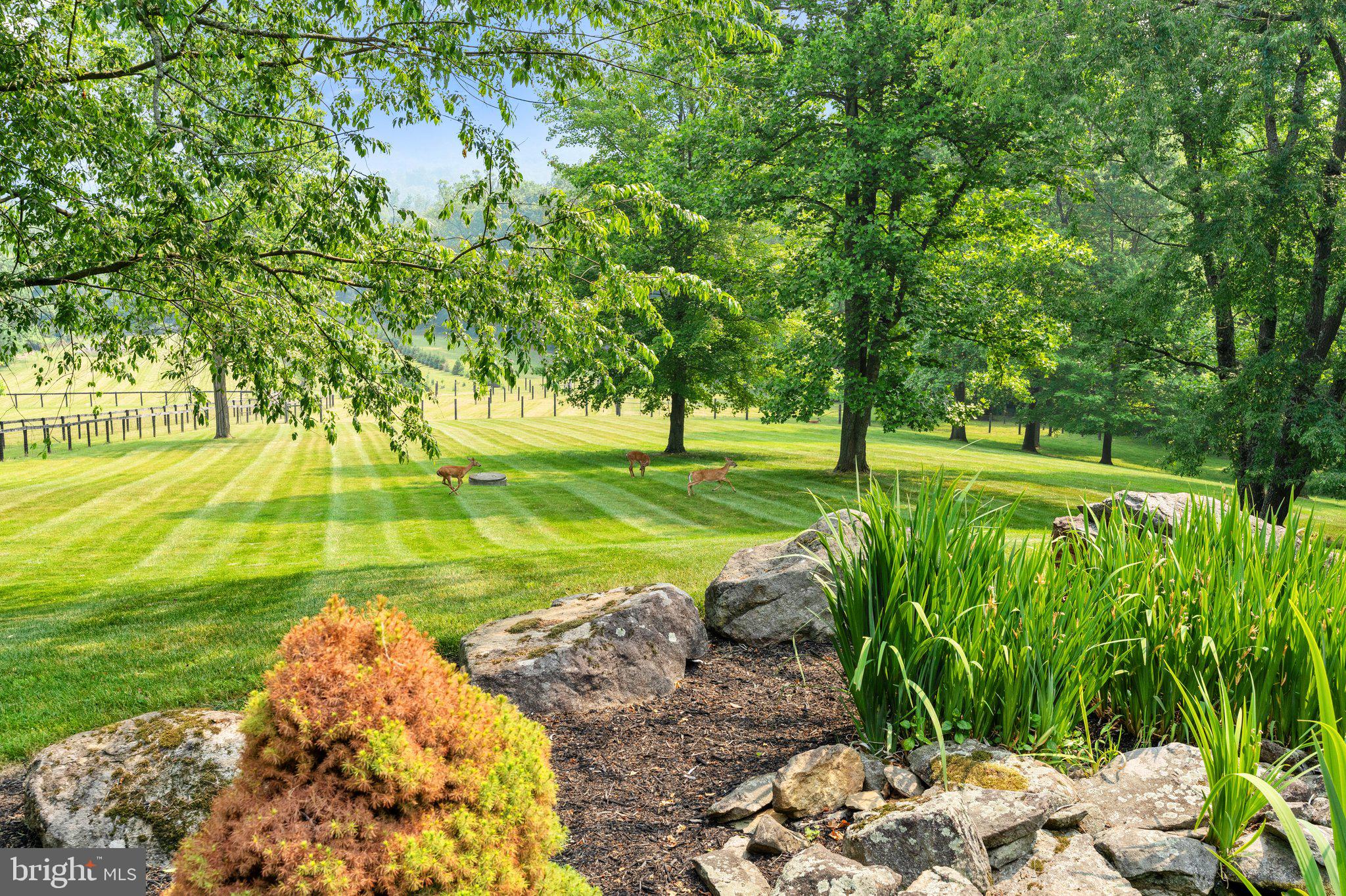 BETWEEN HILLS - Residential