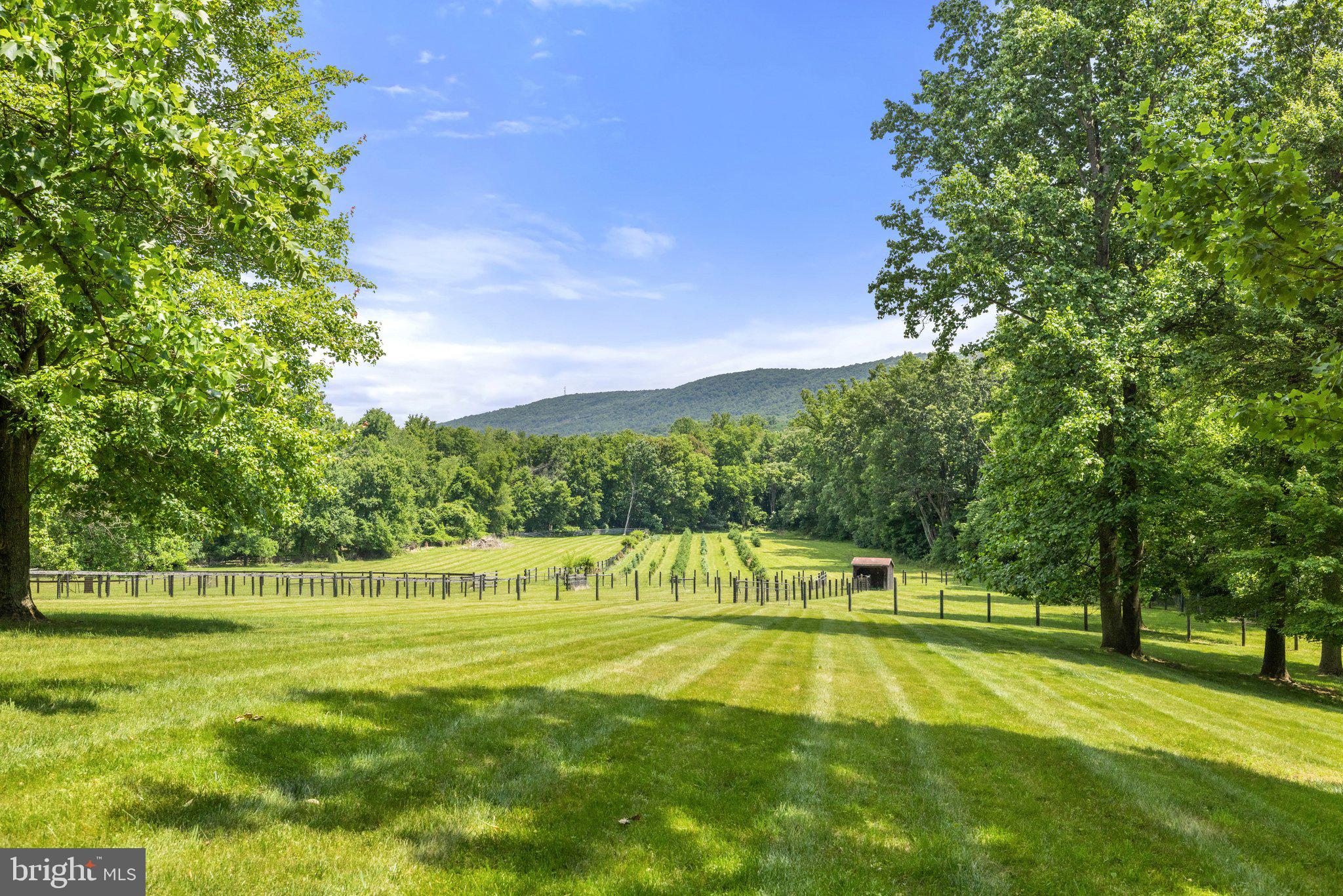 BETWEEN HILLS - Residential